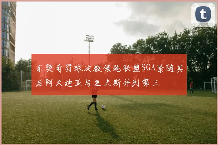 东契奇罚球次数领跑联盟SGA紧随其后阿夫迪亚与里夫斯并列第三