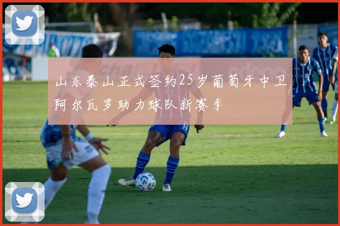 山东泰山正式签约25岁葡萄牙中卫阿尔瓦罗助力球队新赛季